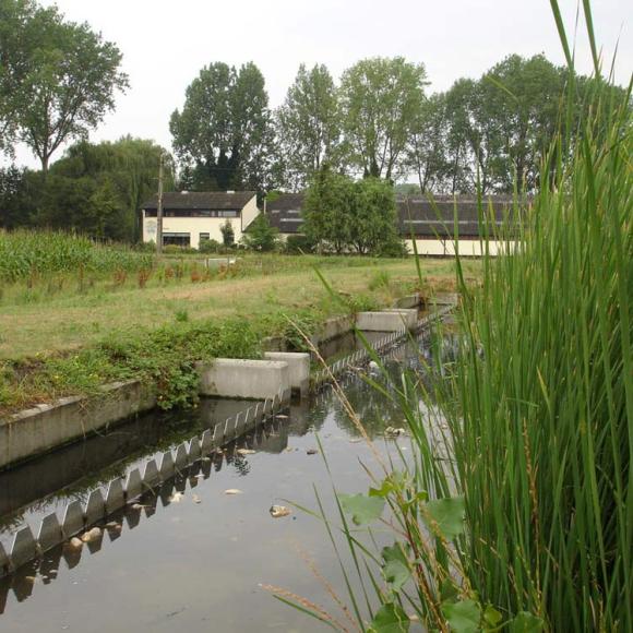 kwzi rietveld