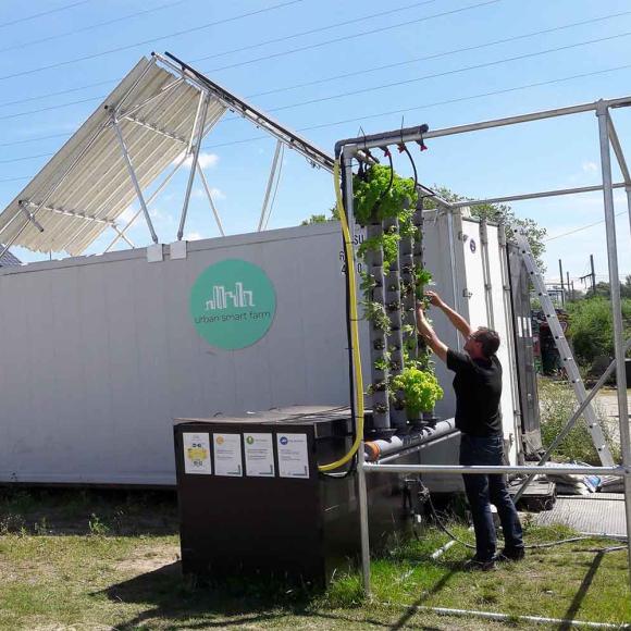 Urban Smart Farmers