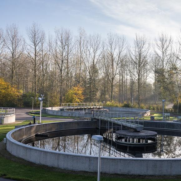 tijdens de nabezinking zakt het slib naar de bodem