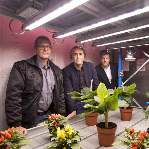 Aquaponics is de combinatieteelt van vissen en planten