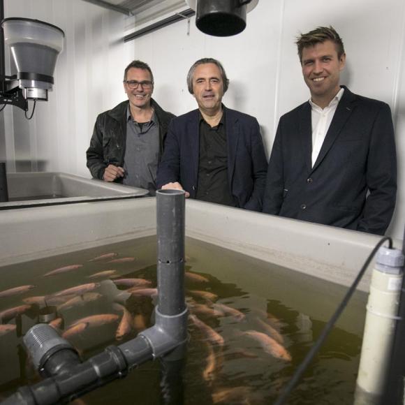 Aquaponics is de combinatieteelt van vissen en planten
