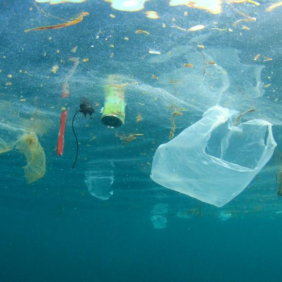 plastic soup