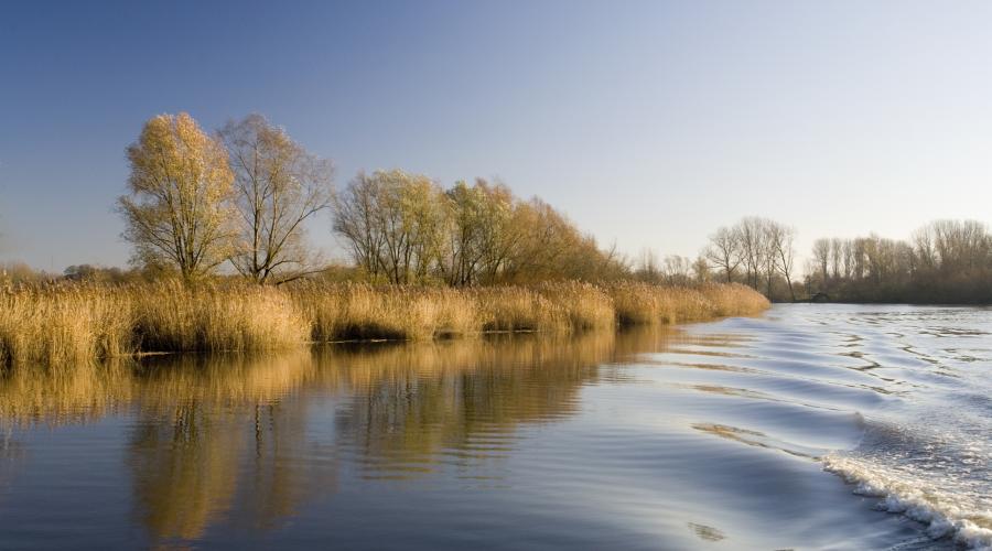 Schelde