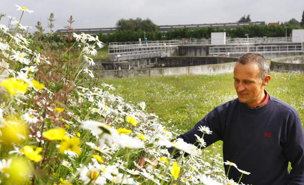 personeelslid in bloemenberm bij rioolwaterzuivering