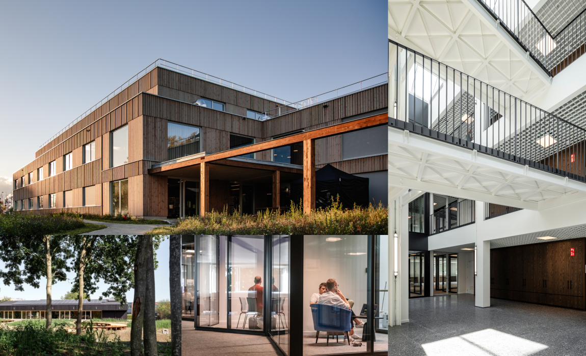 Campus collage